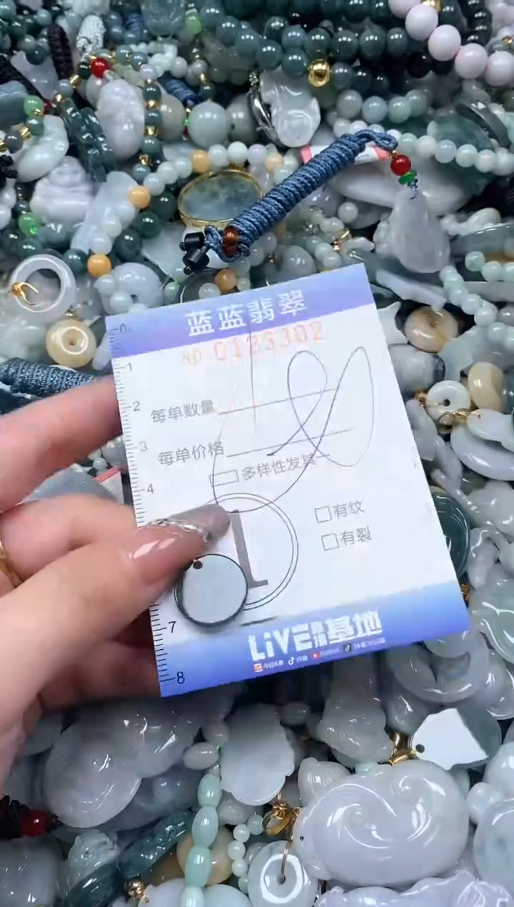 【闪购商品】翡翠颈饰未镶嵌闪购0123302多样性发其一