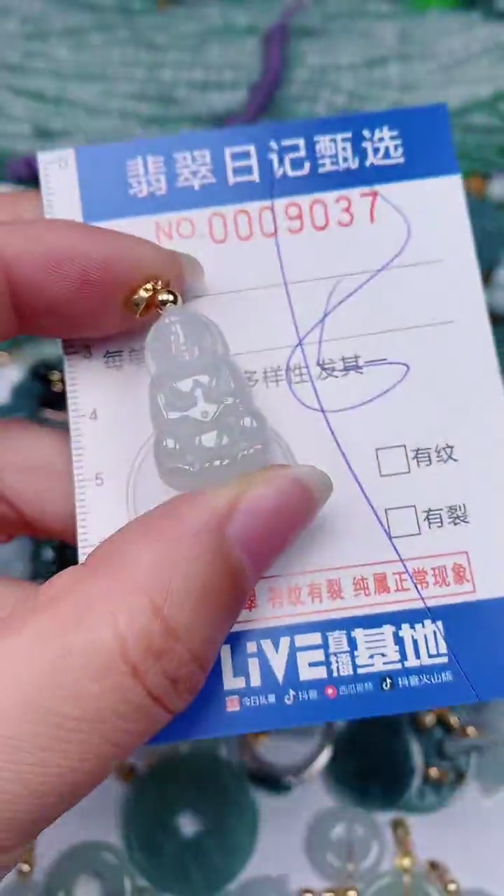 【闪购商品】翡翠颈饰未镶嵌00009037
