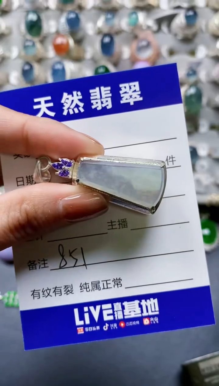 【闪购商品】翡翠颈饰未镶嵌00000851