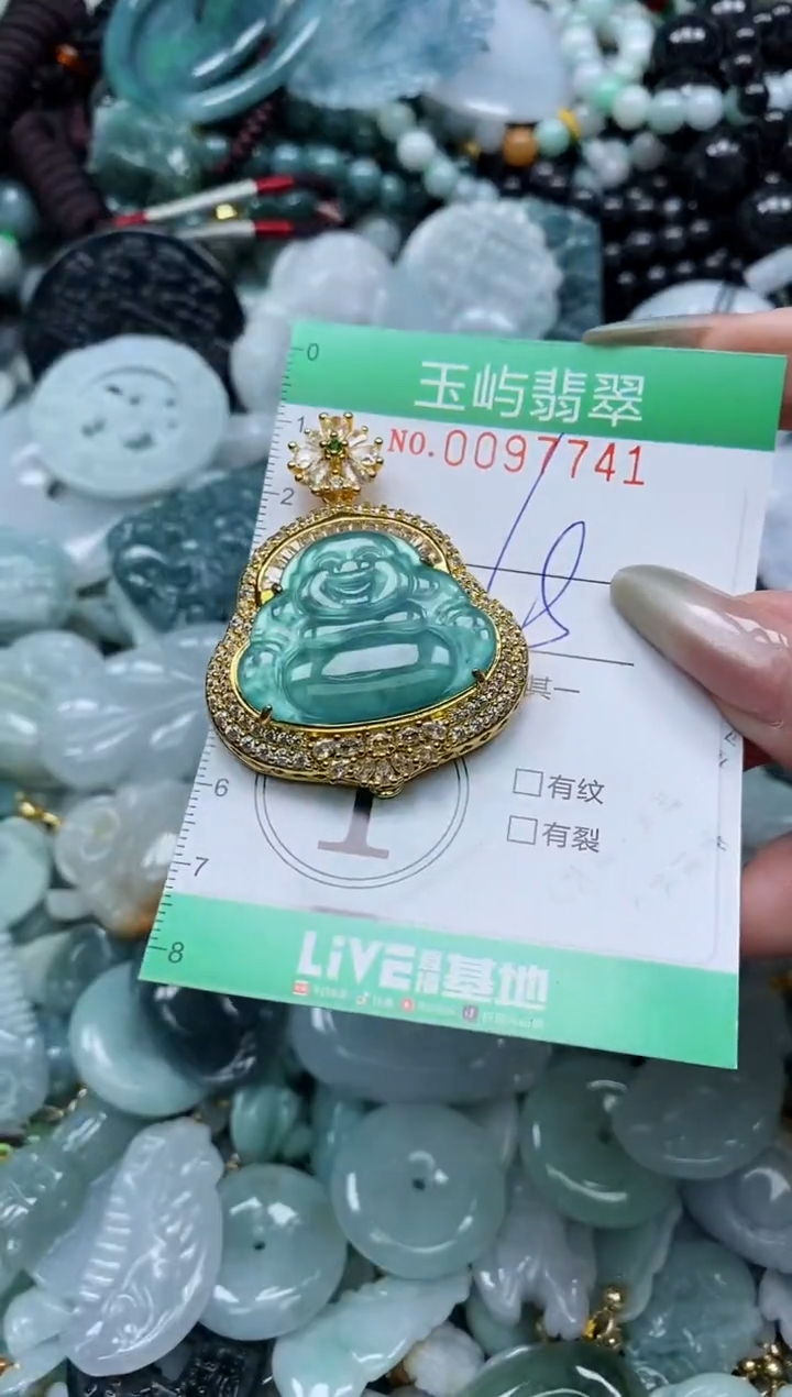 【闪购商品】翡翠未镶嵌颈饰闪购0097741
