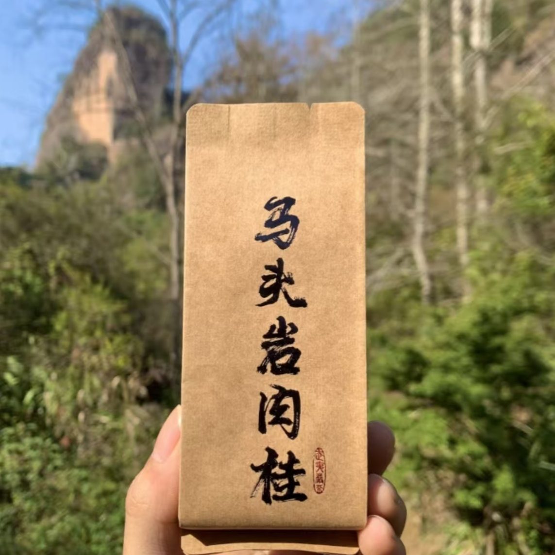 拙人冯【高货品鉴】正岩肉桂炭焙中火马头岩8.3g*2