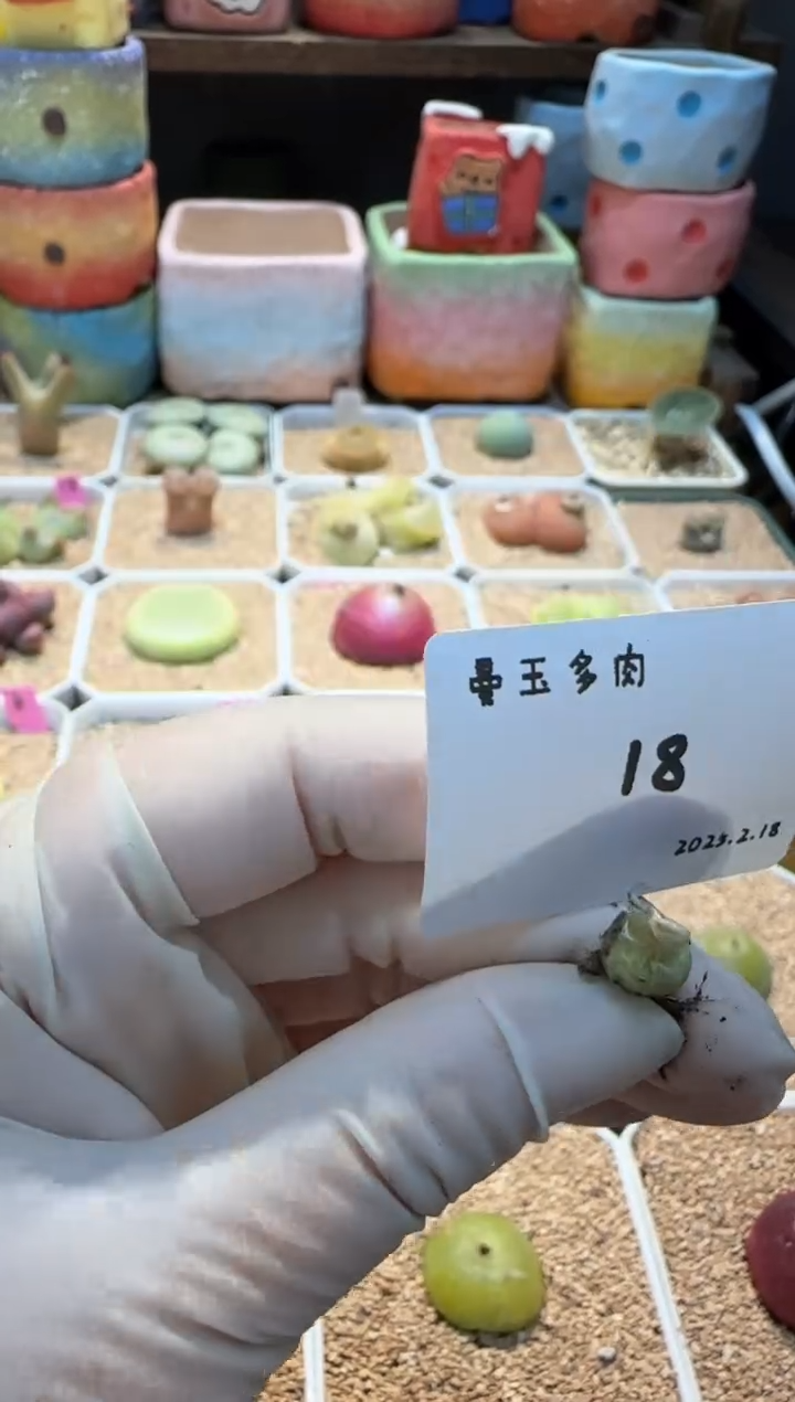 【闪购商品】25.2.18-18lw