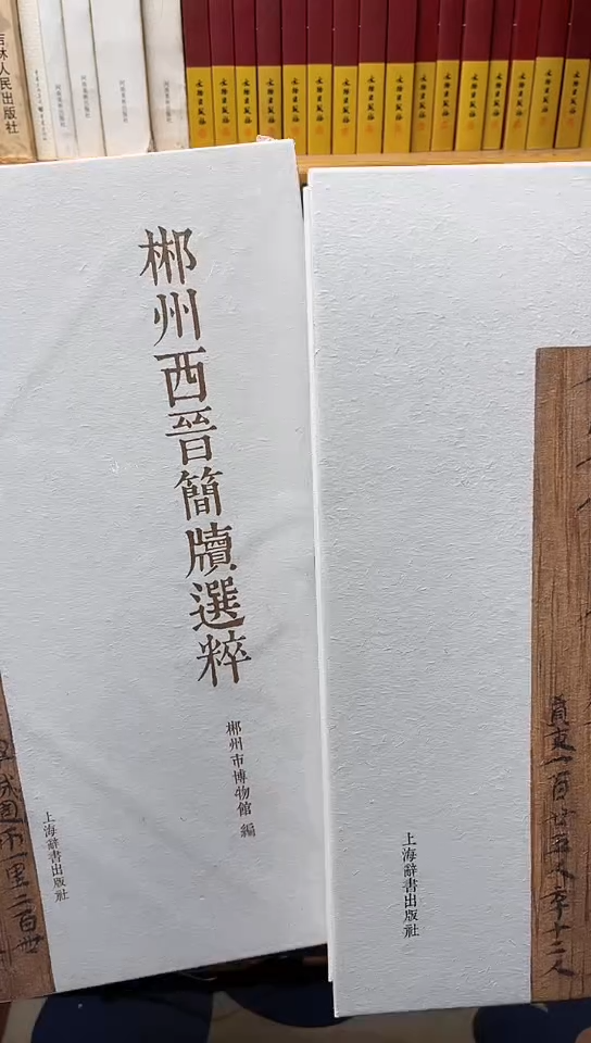 郴州西晋简牍选粹