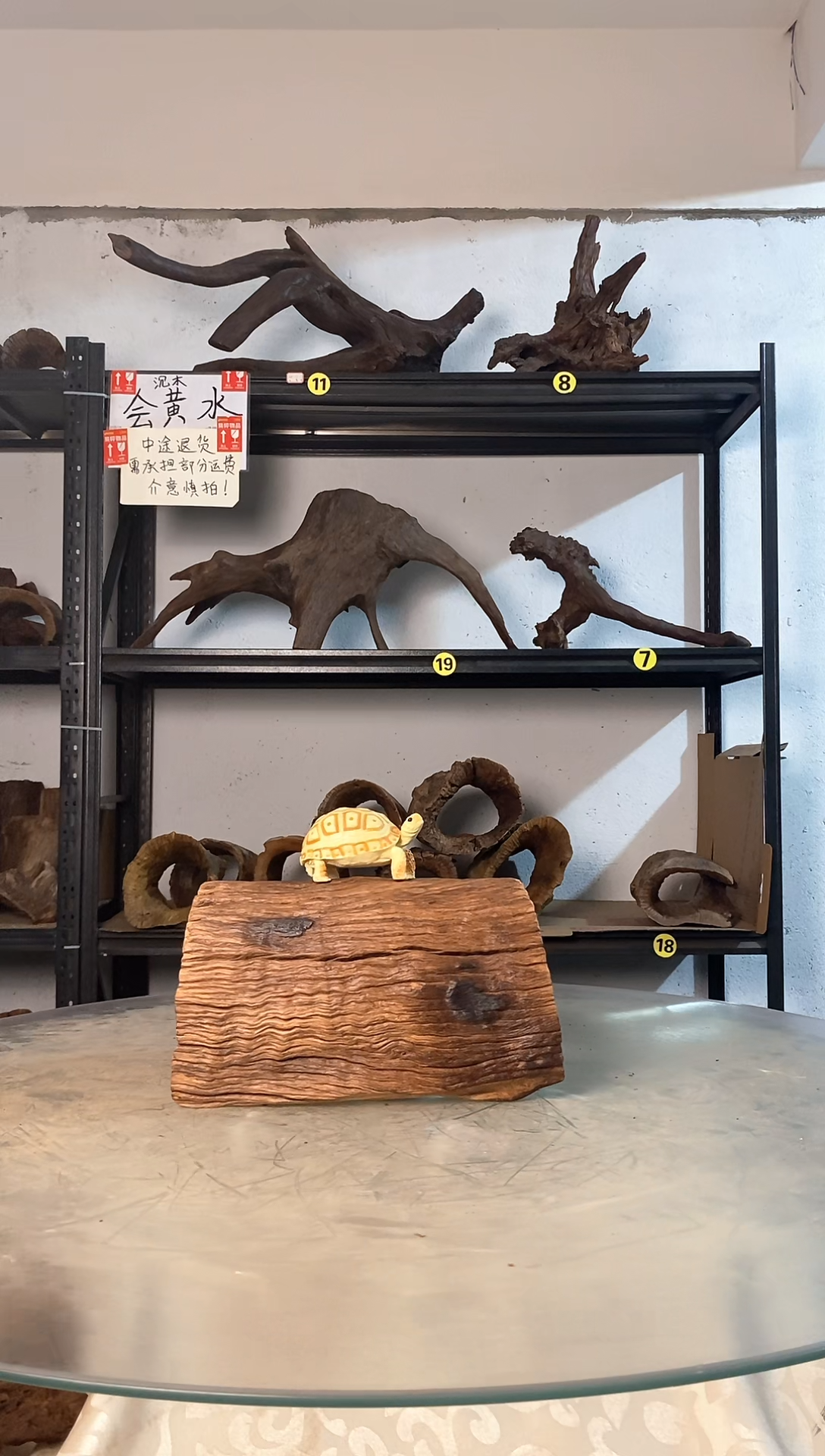 焦*?鱼缸爬宠造景素材691