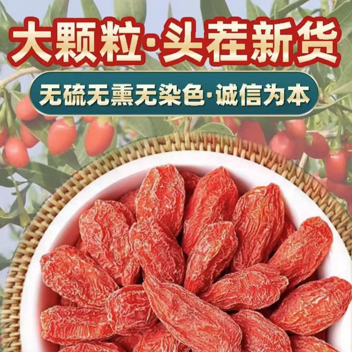 《拍一发五》正宗宁夏农家红枸杞精选大颗粒枸杞子泡水免洗枸杞