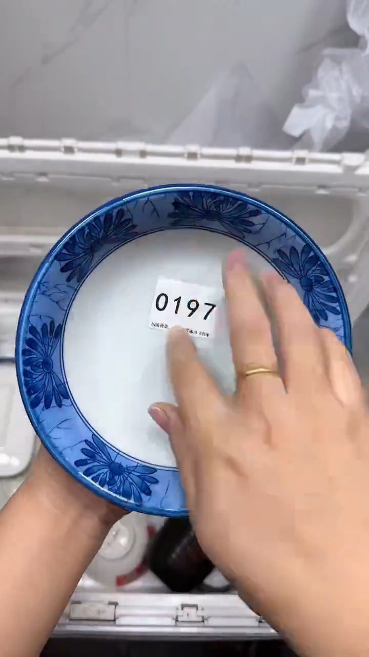 【闪购商品】197回流瓷器默认微瑕，18.8包邮