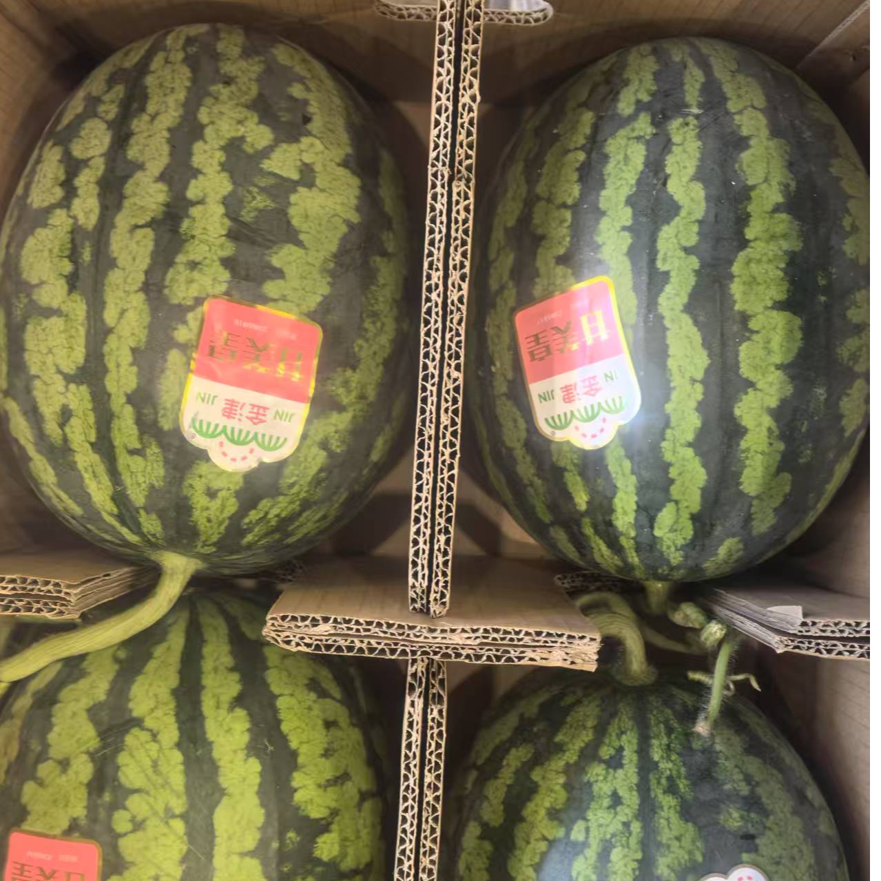 悦果先生甘美西瓜4500g左右西瓜同城送海南省