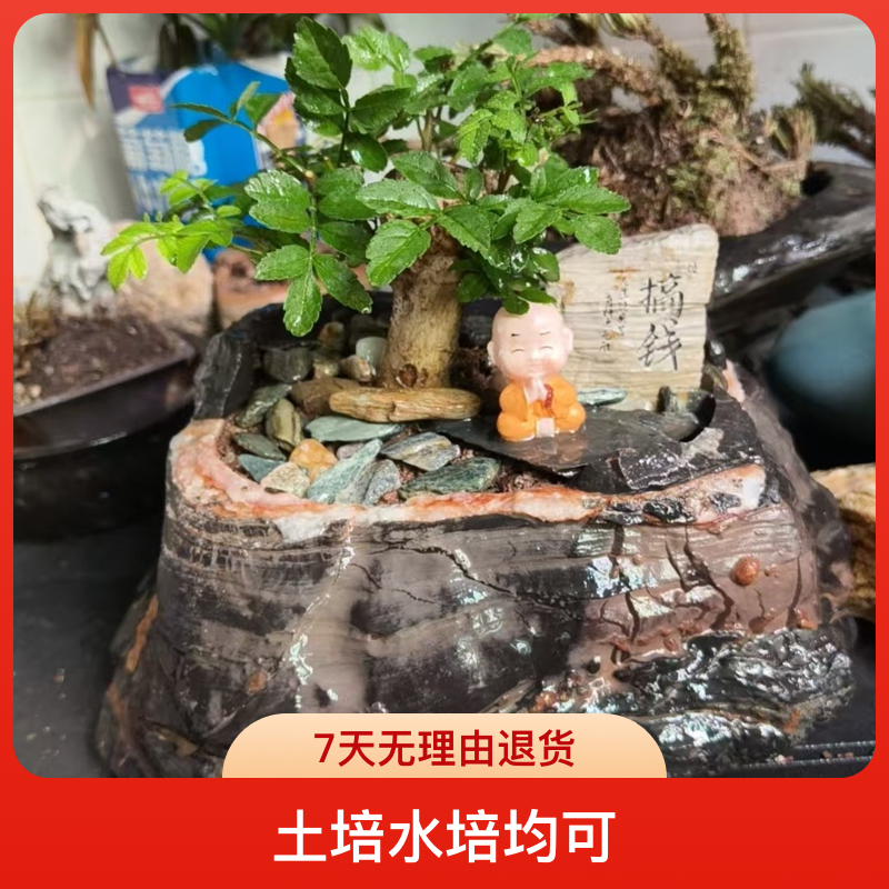 灵璧奇石花盆，鱼缸，烟灰缸，山峰造景石盆景造景 土培水培