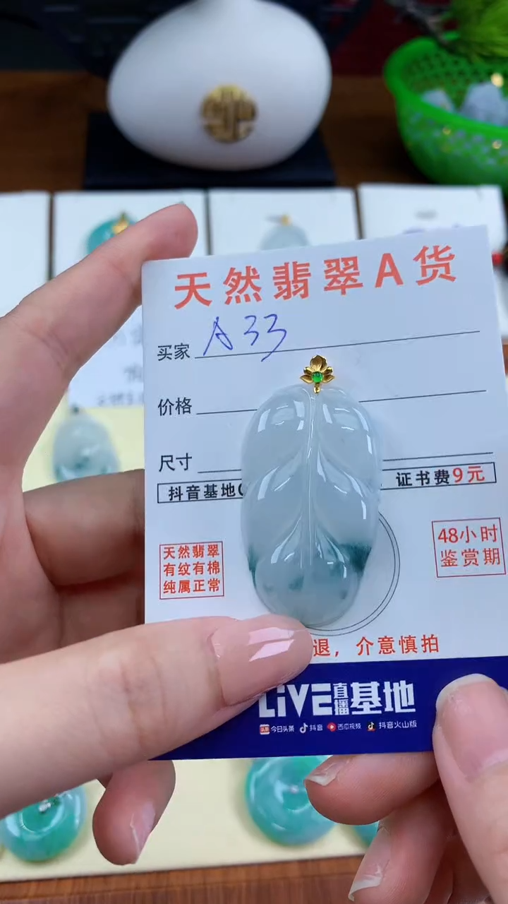 颈饰未镶嵌翡翠天然A货翡翠挂件