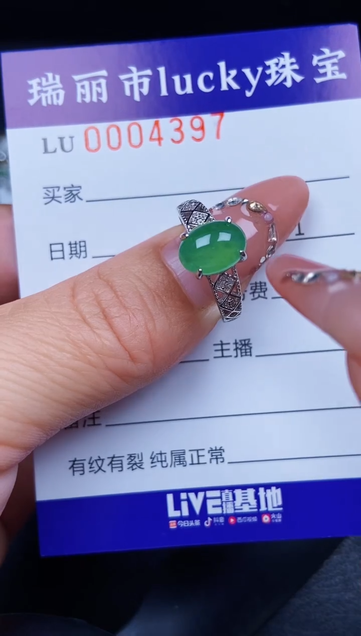 翡翠银S925镶嵌颈饰4397