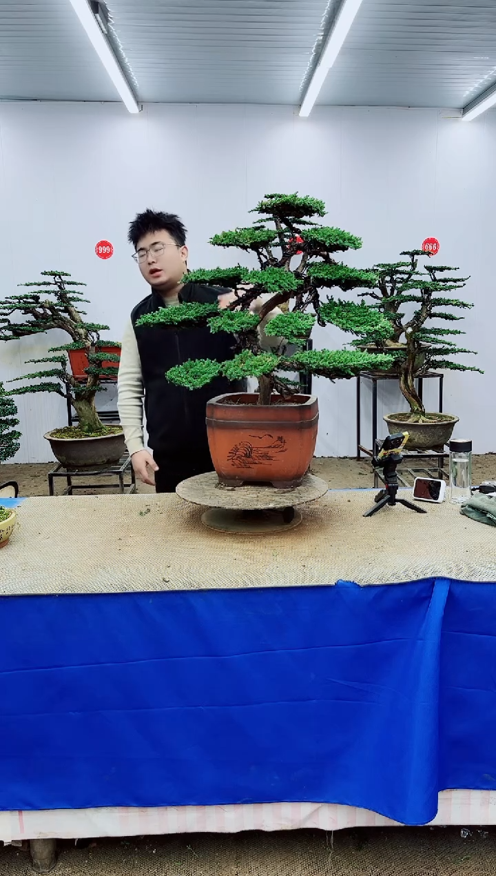 完全开放一物一拍，所见即所得