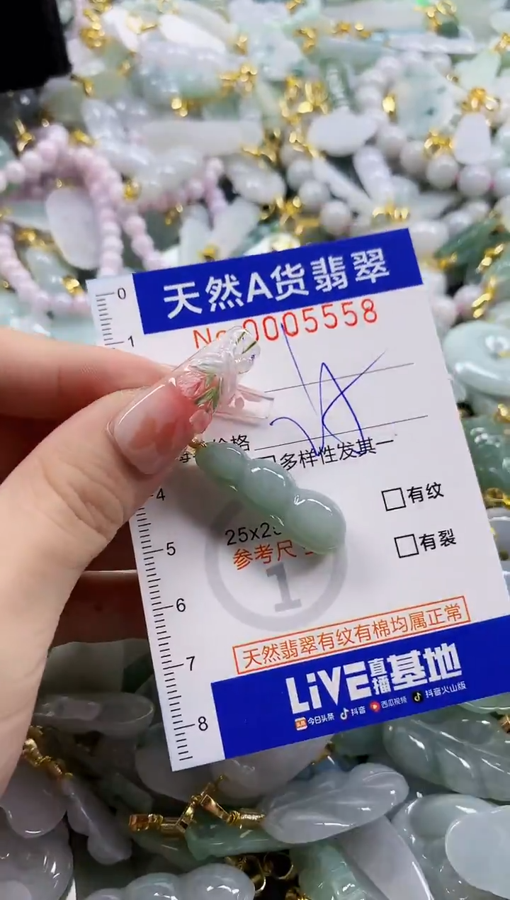 颈饰未镶嵌翡翠天然A货翡翠