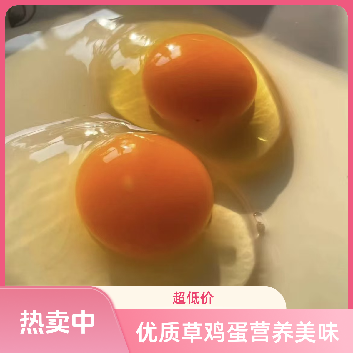《顺丰次日达》大别山鲜鸡蛋新鲜农家散养现捡现发谷物喂养优质草鸡蛋深山散养土鸡鸡蛋早餐美味营养美味
