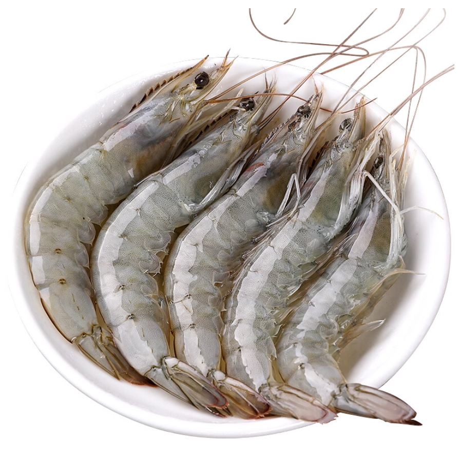 大海虾渤海湾海对虾鲜活速冻海虾