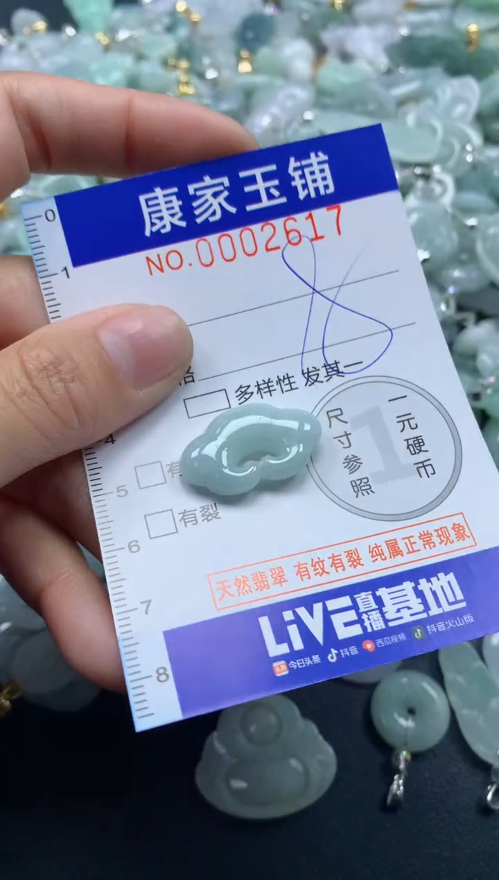 颈饰未镶嵌翡翠2617