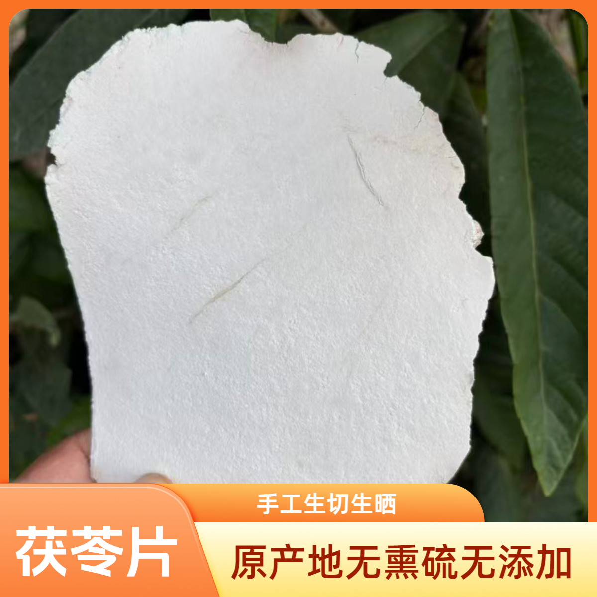 正宗茯苓正品老树茯苓片靖州茯苓粉干货茯苓泡水煮粥专用