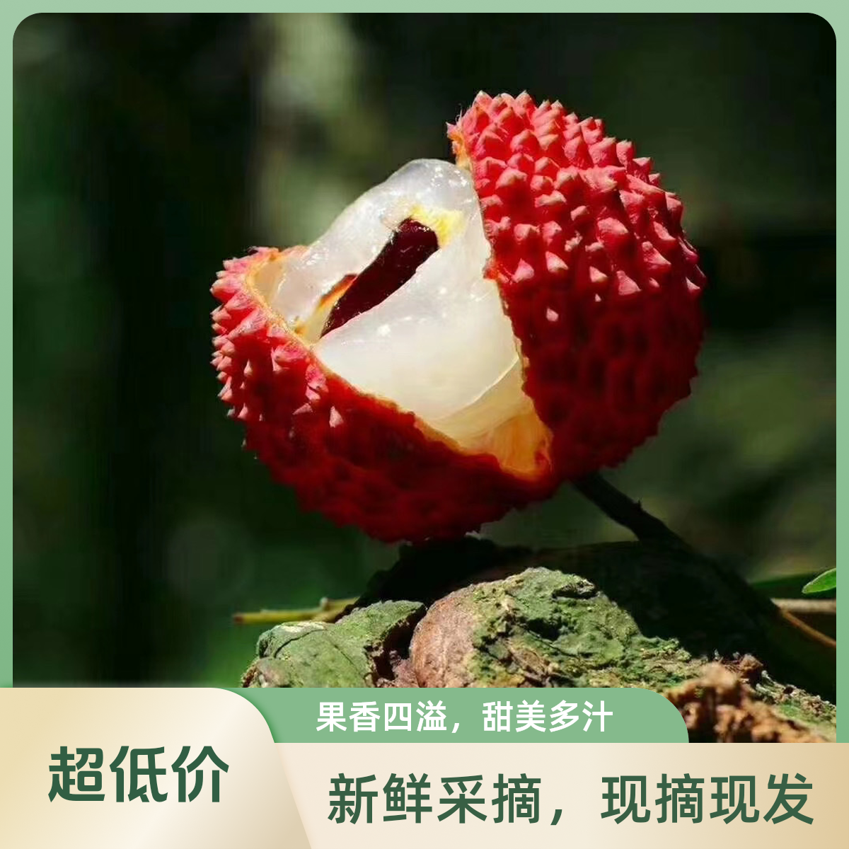 广东增城桂味荔枝荔枝同城送广东省