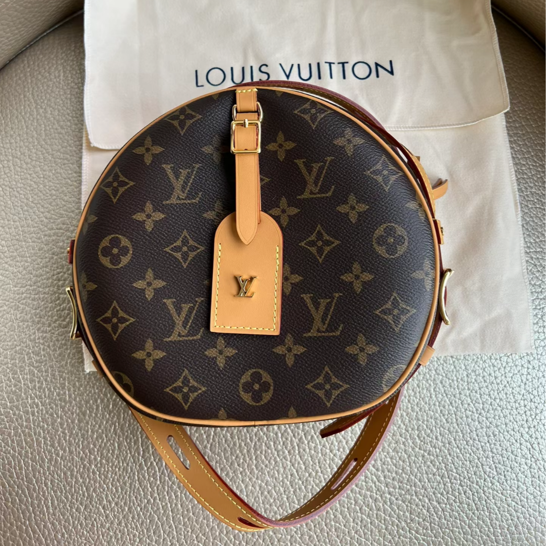 99新 LouisVuitton/路易威登 埃戈 安琳/软圆饼中号/单肩包二款