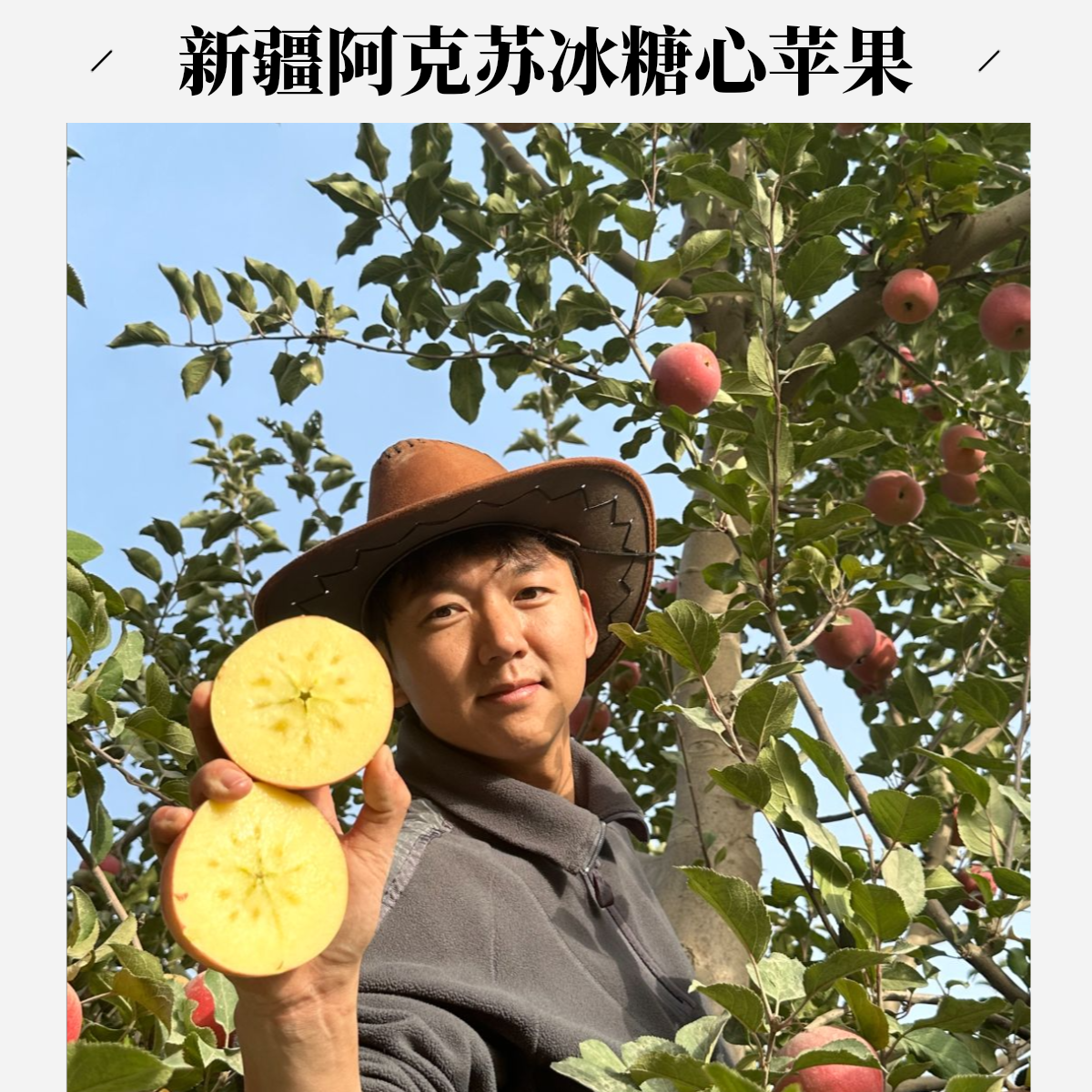 新疆阿克苏冰糖心苹果光果脆甜爆汁现摘现发应季水果买五斤送五斤