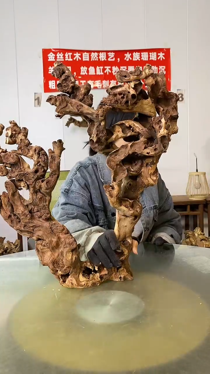 香榧木杨*东金丝红木 羊蹄甲