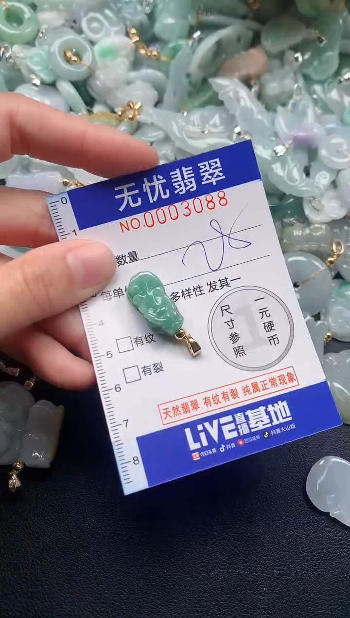 颈饰未镶嵌翡翠3088