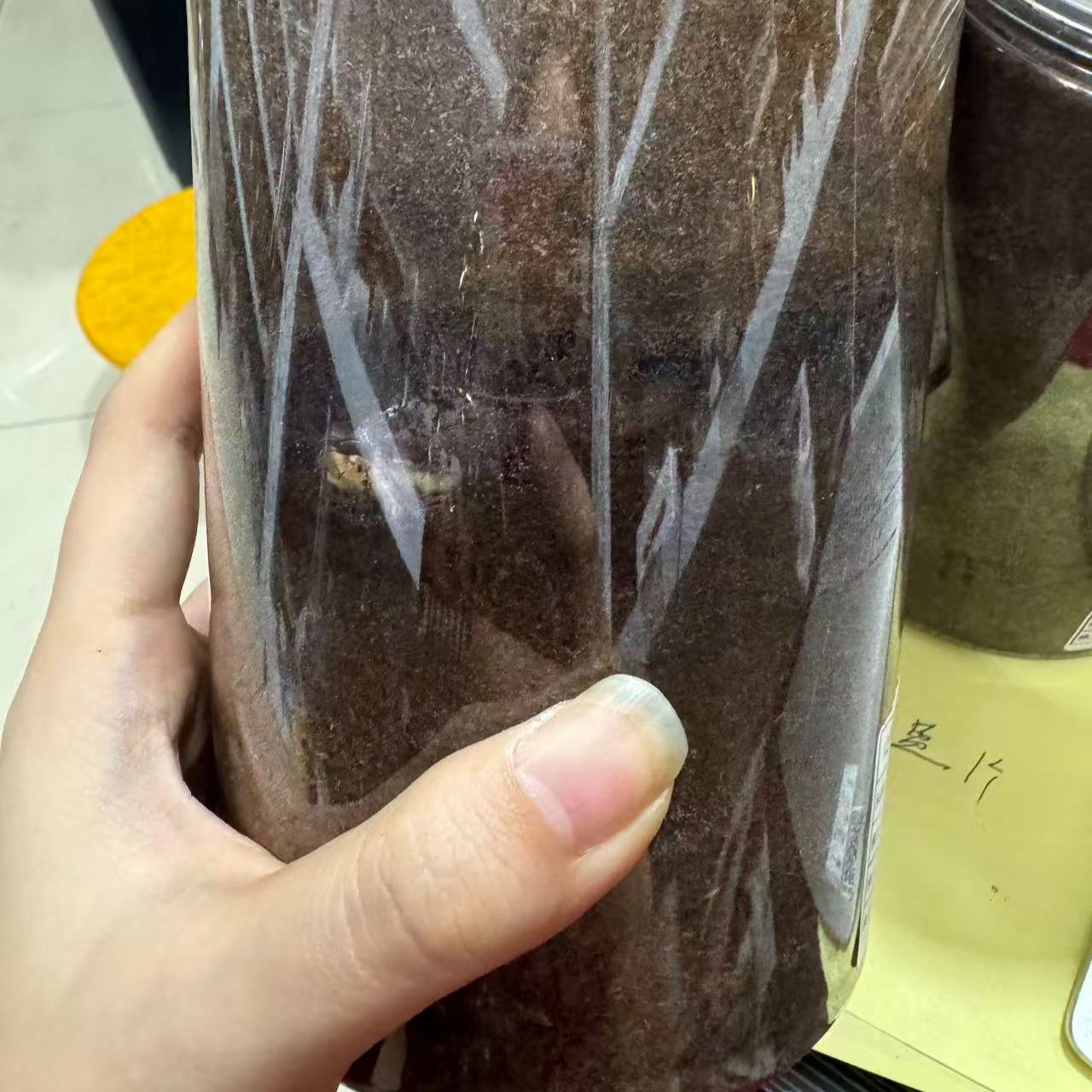 彩虹锹甲 活体成虫 盲盒（拍）琉璃2号