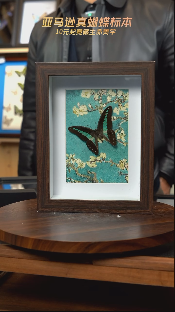 青凤蝶8寸复古框腊梅款