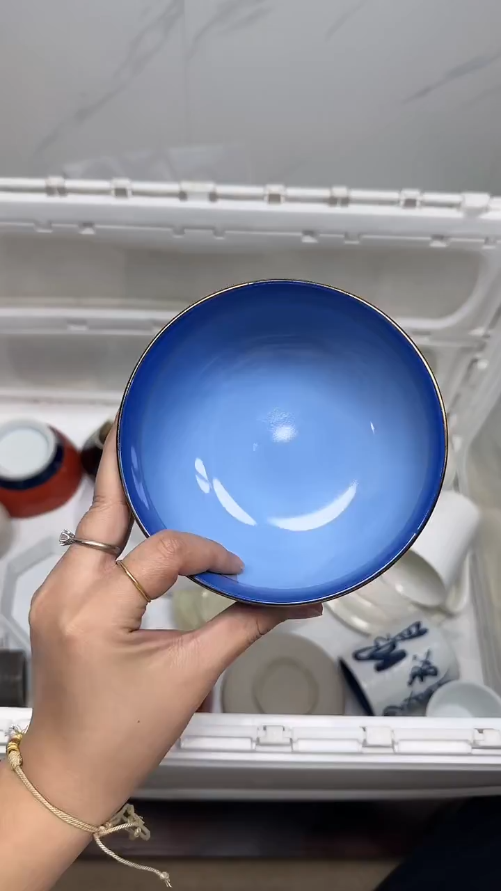 【闪购商品】3843回流瓷器默认微瑕，18.8包邮