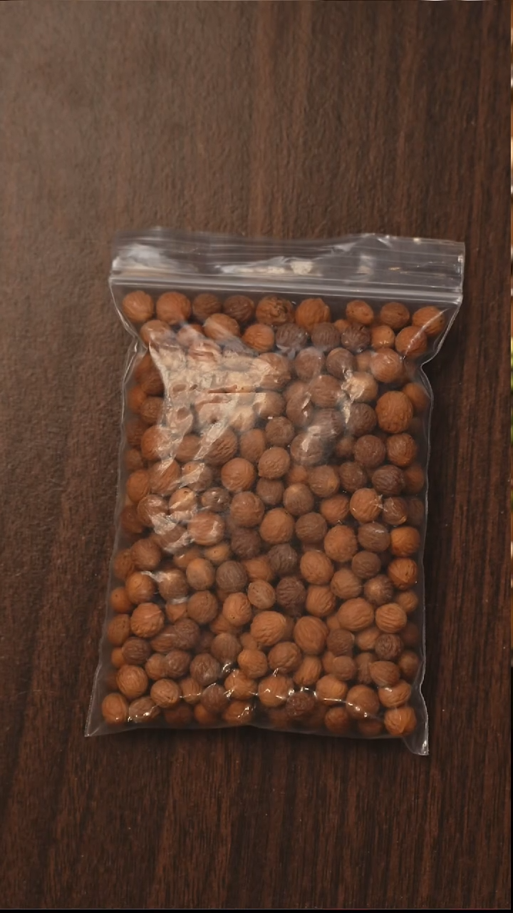 把件凤眼菩提S03酸枣核散籽