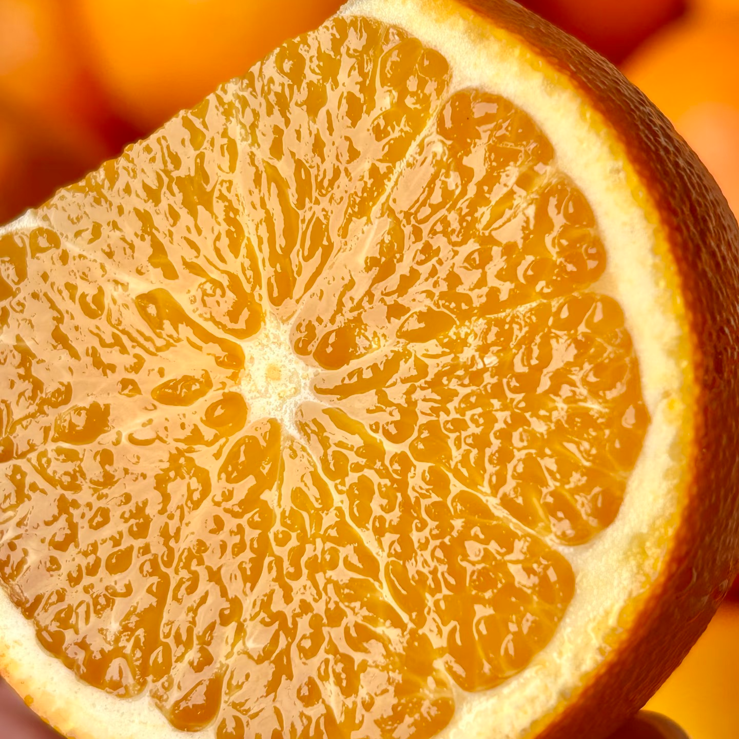 【双十一大促】当季正宗新鲜汁水充足浓郁香甜赣南脐橙5-9斤装【顺丰次日达】江西省