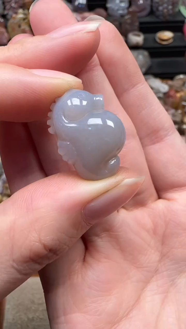 颈饰未镶嵌硅化珊瑚（珊瑚玉）571