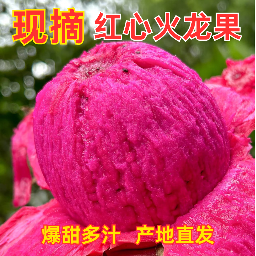 正宗云南金都一号红心火龙果超甜应季新鲜水果红肉现摘现发