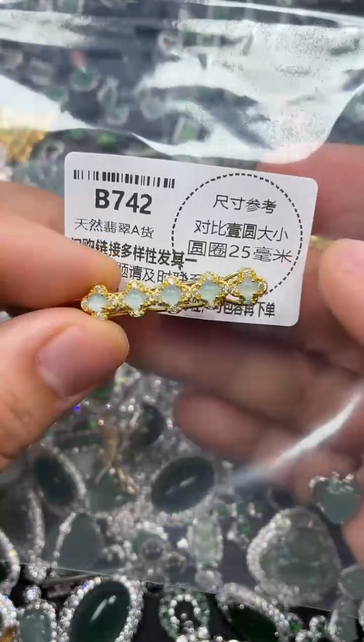 颈饰未镶嵌翡翠B742发夹