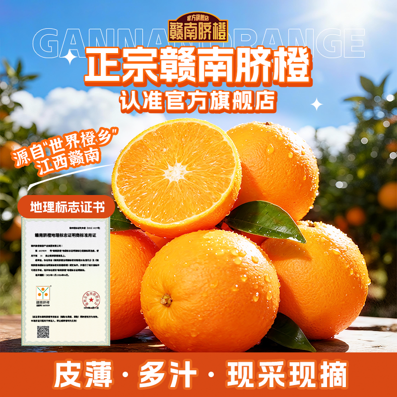 正宗江西赣南脐橙子新鲜采摘应季水果赣州脐橙原产地直发农产品