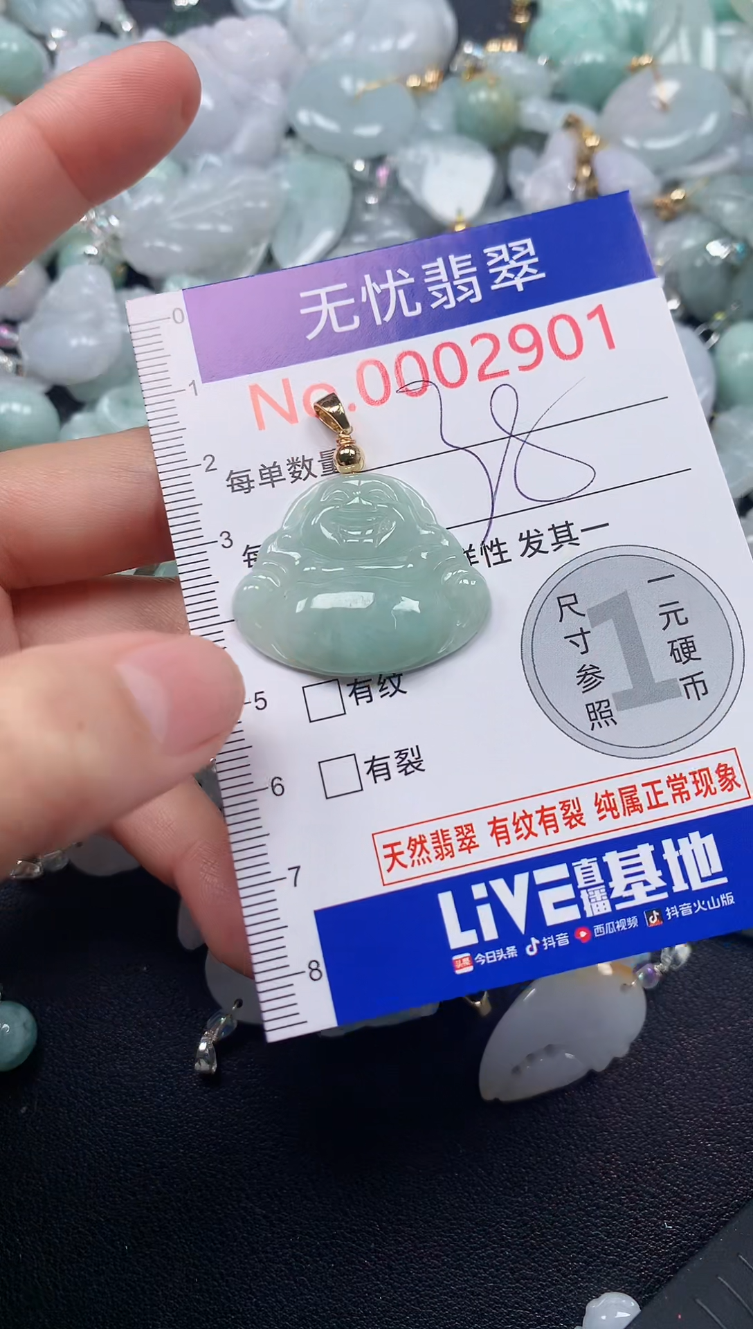 颈饰未镶嵌翡翠2901