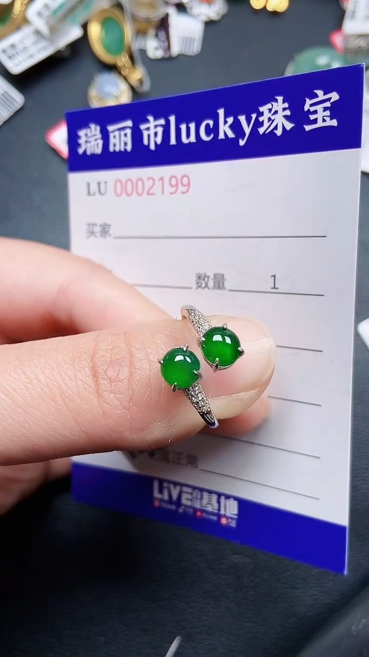 颈饰银S925镶嵌翡翠2199