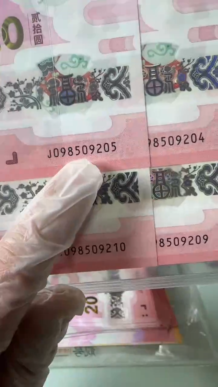 【闪购商品】塑料蛇钞单张！-098509201