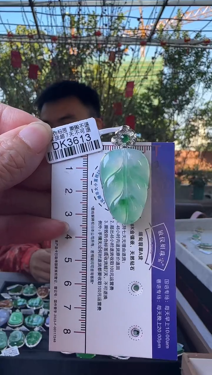 【闪购商品】翡翠颈饰18K金镶嵌DK3613冰绿叶子