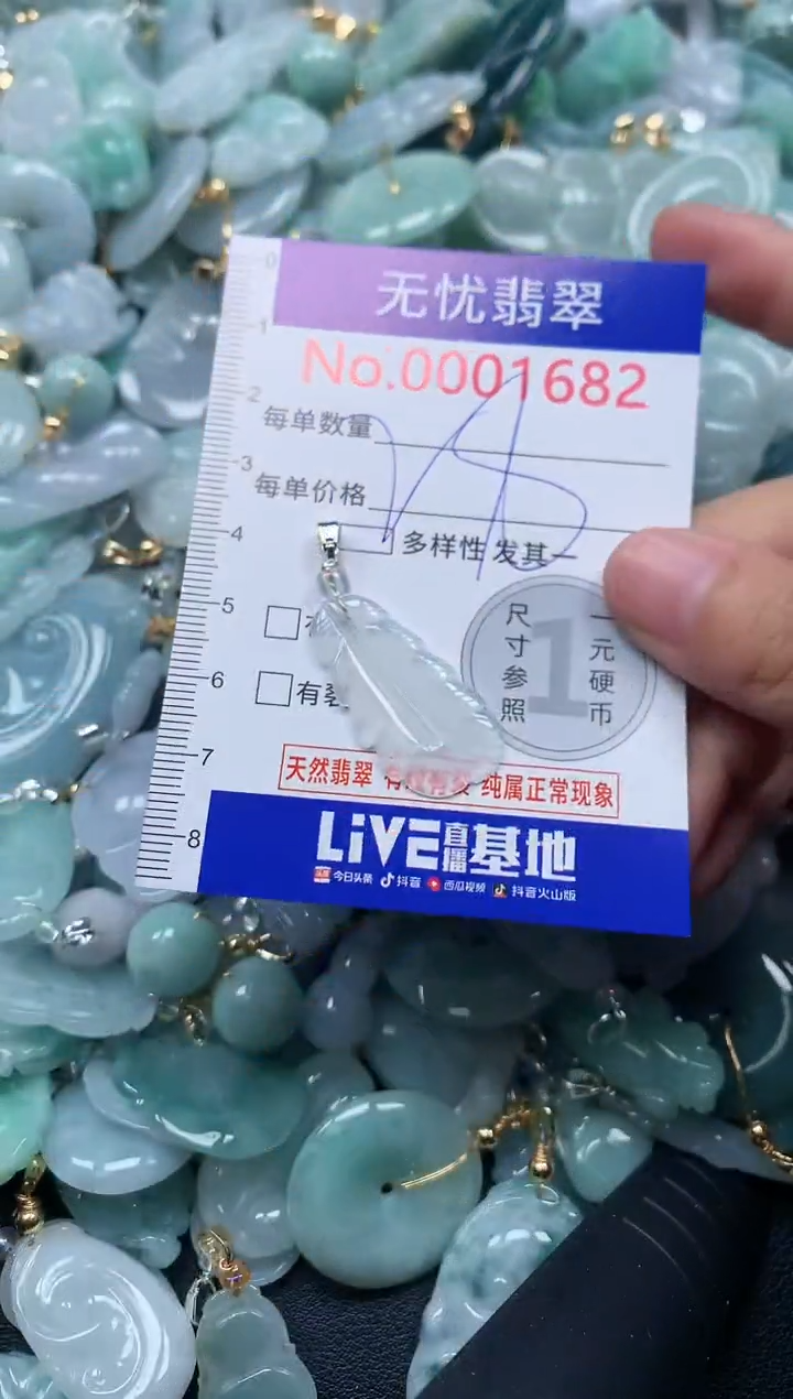 颈饰未镶嵌翡翠1682