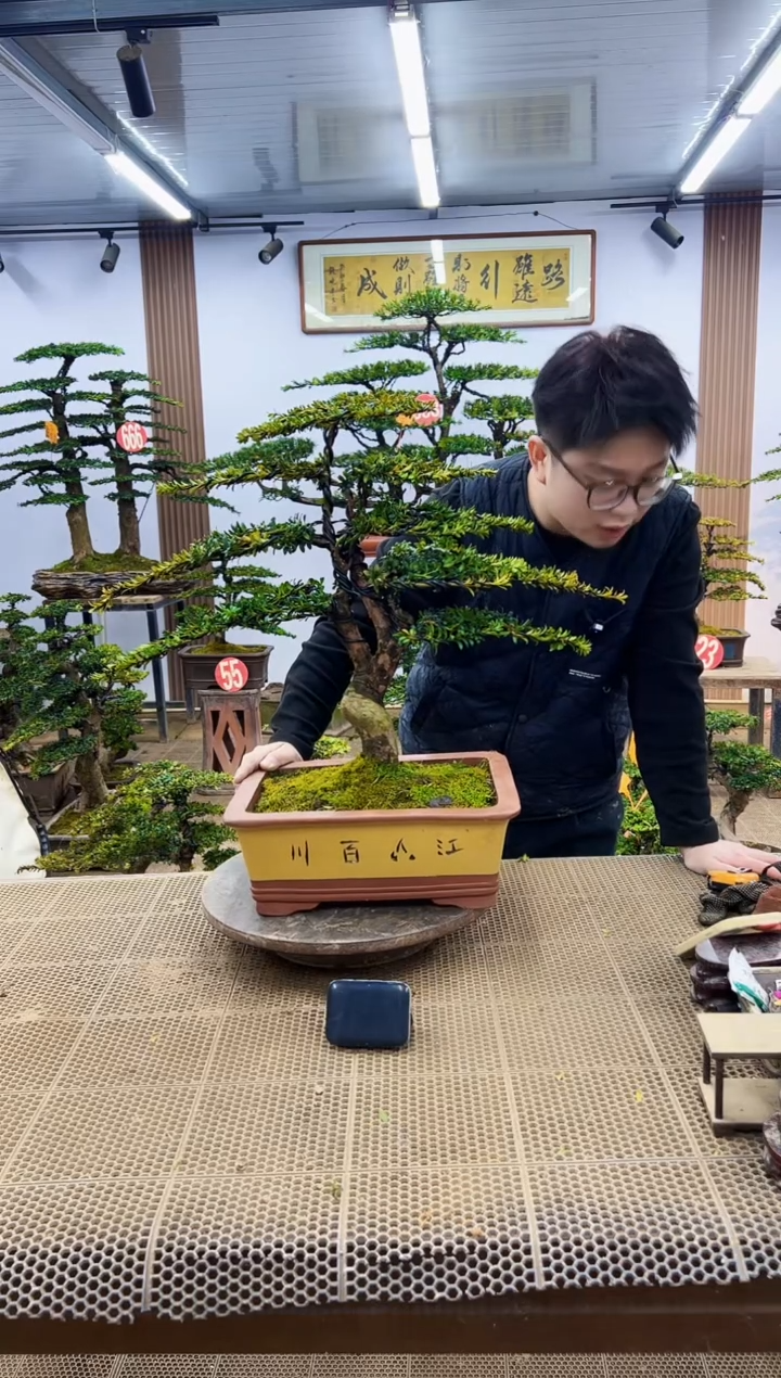 【闪购商品】一物一拍，所见即所得