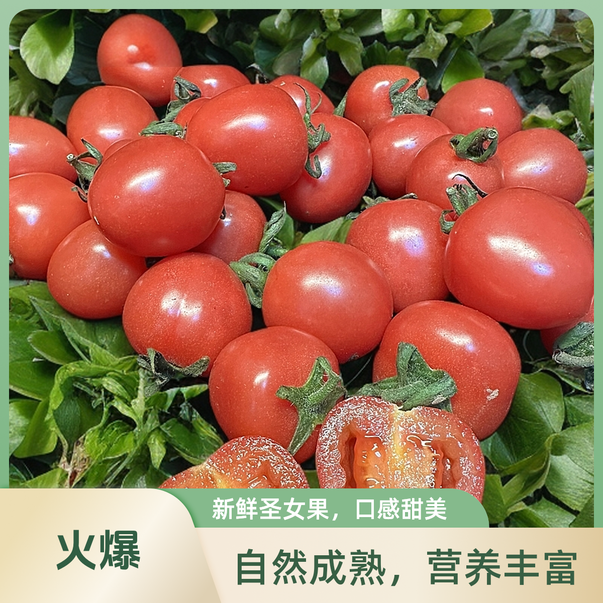 陕西泾阳新鲜采摘自然成熟粉贝贝圣女果