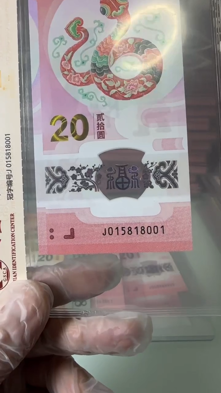 【闪购商品】塑料015818001-蛇钞单张！