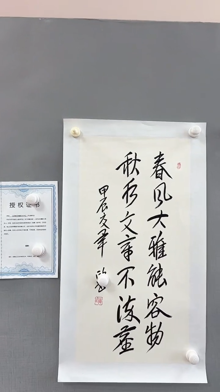 【闪购商品】书法雅艺典藏文化书法