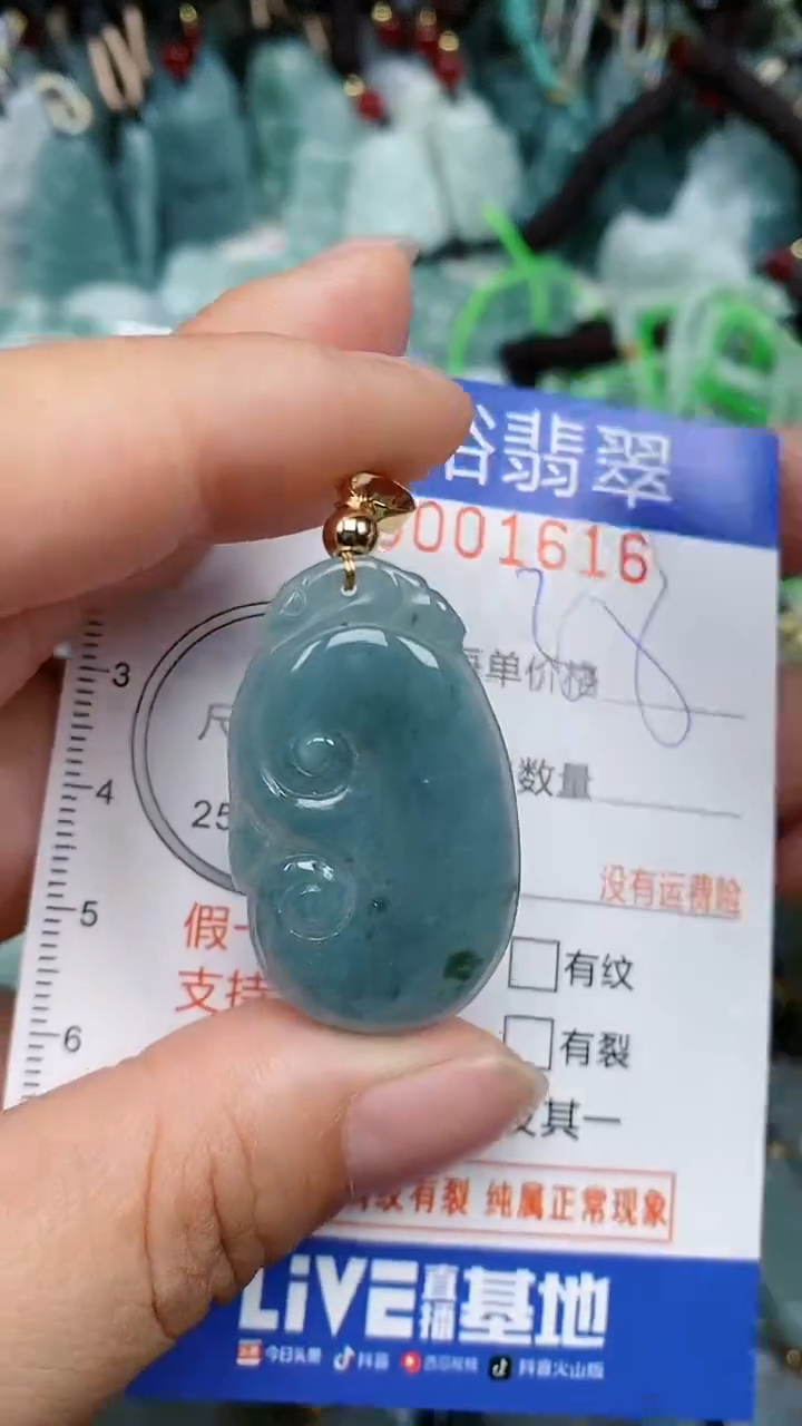 翡翠未镶嵌颈饰...0001616
