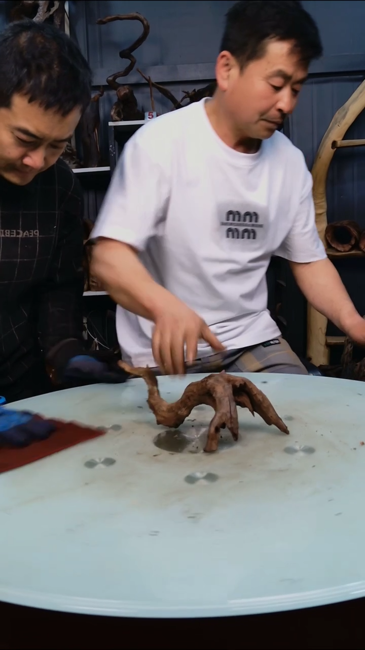 木505清香阁清香阁清香阁