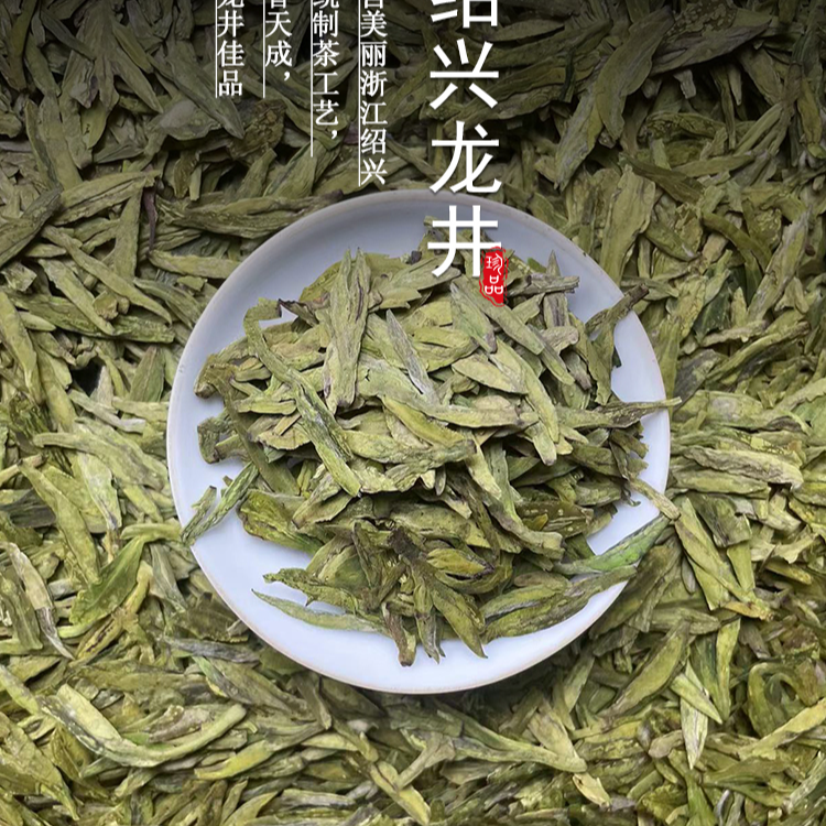 2025年新茶B2新昌大佛龙井 群体种老茶树 茶香浓韵 鲜爽 爽口回甘