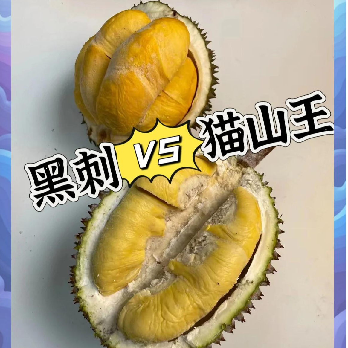 【组合】黑刺+猫山王新鲜榴莲2粒软糯香甜核大3-8斤猫山王马来西亚