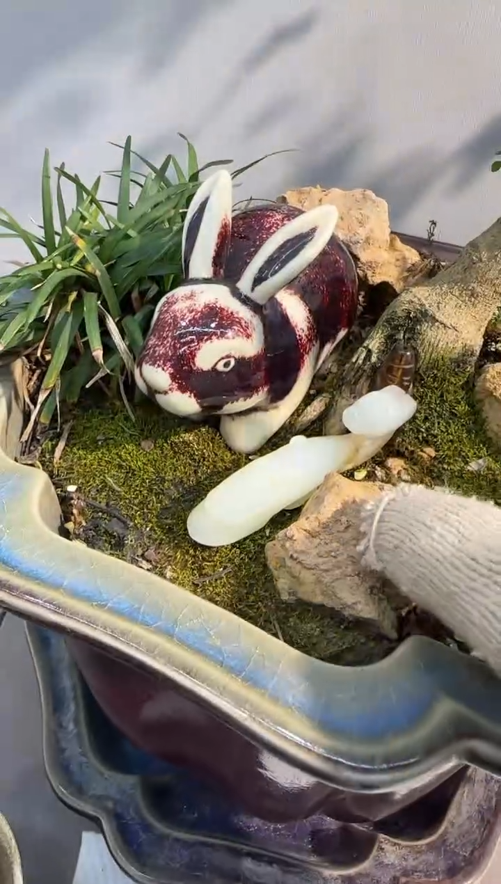 【闪购商品】摆件瓷器瓷器瓷器瓷器