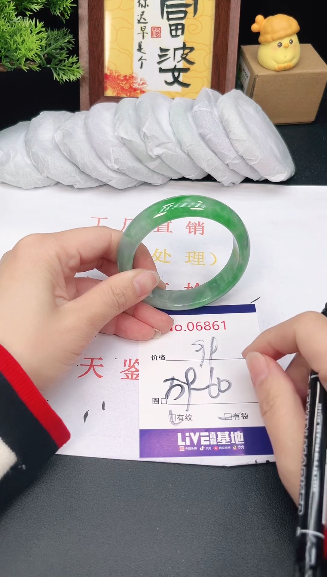 未镶嵌手镯翡翠6861