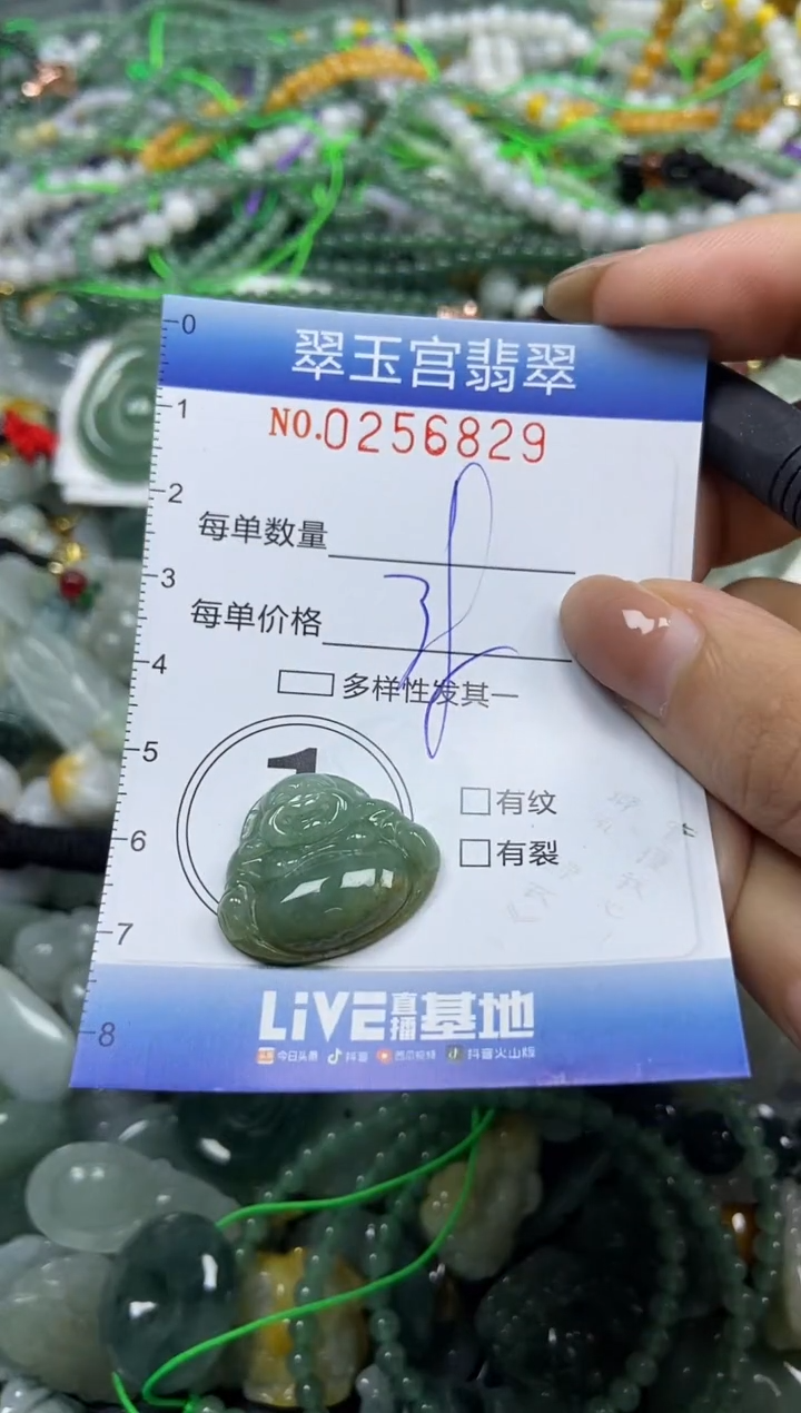 颈饰未镶嵌翡翠闪购C0256829